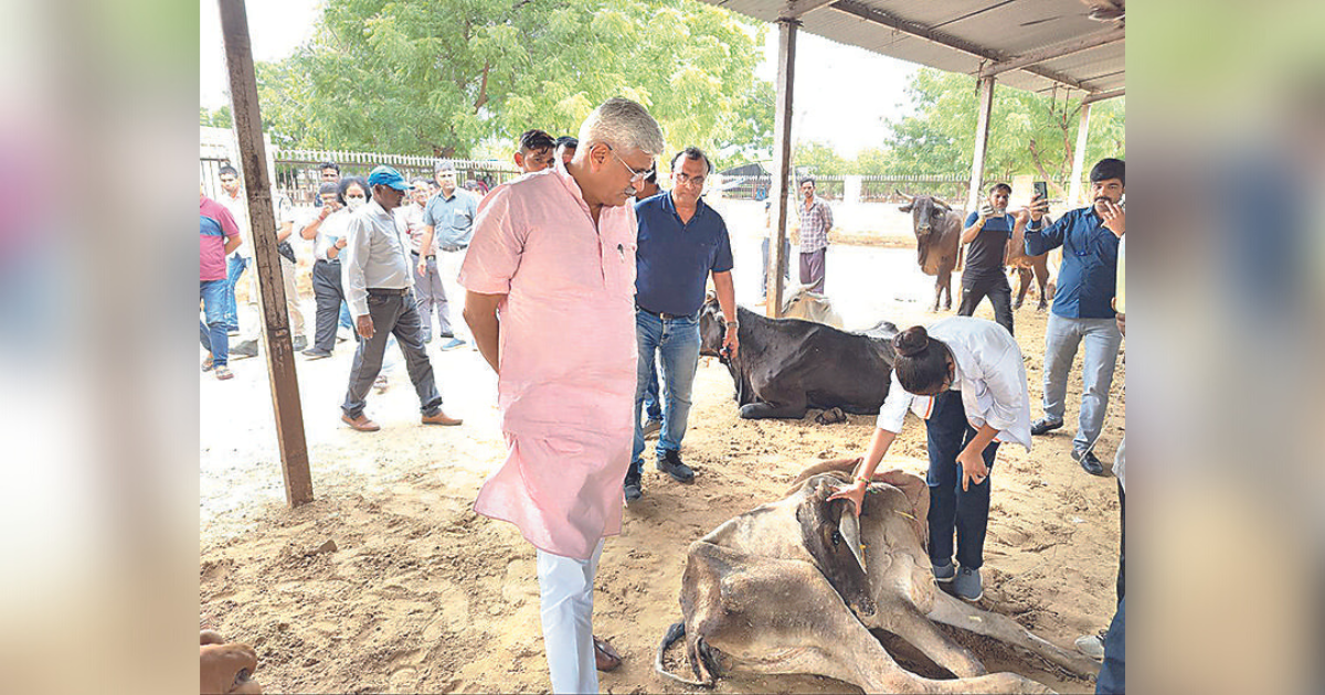 Lumpy: Shekhawat inspects Gaushala in Jodhpur, assures help
